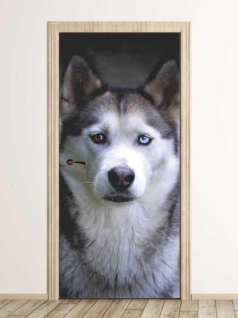 Husky dog door mural FP 6192 - Graphic design featuring a husky with blue eyes on a dark background.
