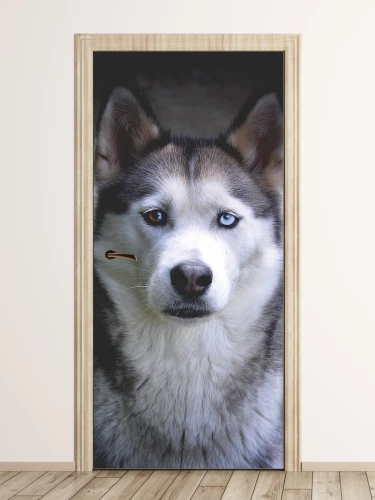 Wallpaper For Doors For Doors Husky Dog Fp 6192