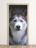 Husky dog door mural FP 6192 - Graphic design featuring a husky with blue eyes on a dark background.