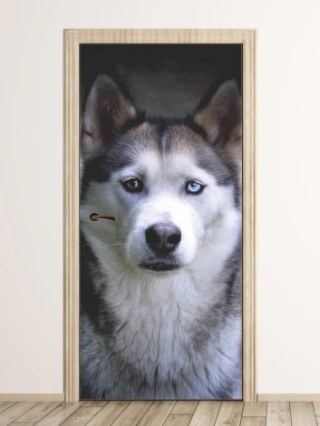 Husky dog door mural FP 6192 - Graphic design featuring a husky with blue eyes on a dark background.