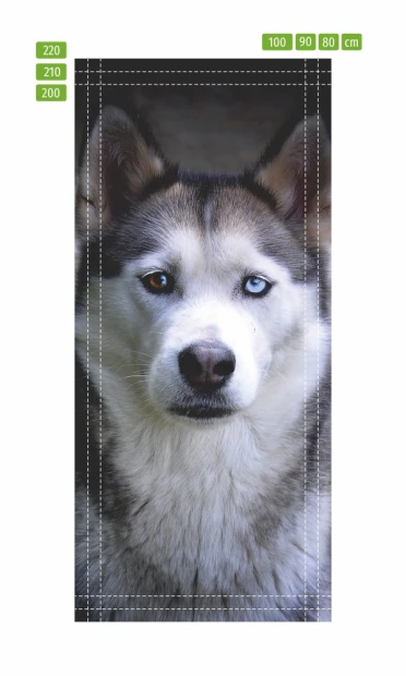 Husky dog door mural FP 6192 - Graphic design featuring a husky with striking fur and vibrant colors.