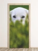 Door wallpaper featuring a dog hidden in grass FP 6185 - Graphic design with visible eyes.