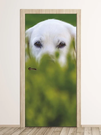 Door wallpaper featuring a dog hidden in grass FP 6185 - Graphic design with visible eyes.