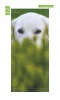 Door wallpaper featuring a dog hidden in grass FP 6185 - Graphic design with visible eyes.