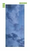Cloudy sky door mural FP 6172 - Graphic design featuring a blue-toned sky with clouds.