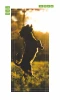 Dog playing in the sun door mural FP 6177 - Graphic design featuring a silhouette of a jumping dog in sunlight.