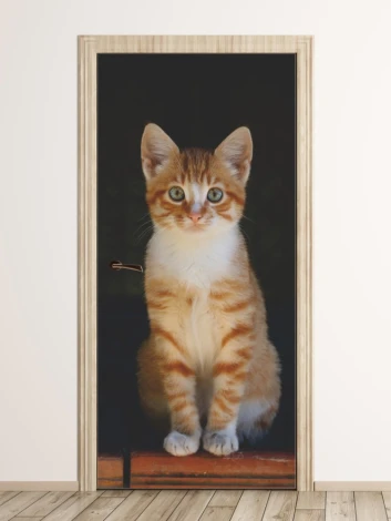 Door wallpaper featuring a striped ginger cat FP 6168 - Graphic design with large eyes against a dark background.