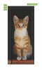 Door wallpaper featuring a ginger tabby cat against a dark background, graphic design FP 6168.