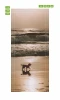 Beach scene door mural FP 6175 - A graphic design featuring a dog running on the shore in sunlight.