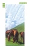 Door wallpaper FP 6186 featuring a herd of horses on a green meadow under a blue sky.