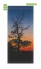 Tree silhouette door wallpaper FP 6193 - Graphic design featuring a tree outline against a sunset background.