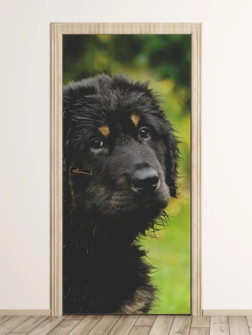 Puppy door wallpaper FP 6149 - Graphic design featuring a black-furred puppy with brown accents.