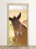 Foil door mural FP 6187 - Graphic design featuring a foal lying on grass in natural light.