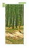 Bamboo door mural FP 6195 - Graphic design featuring bamboo in a dense forest with leaves on the ground.