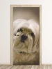 White dog door wallpaper FP 6204 - Graphic design featuring a long-haired white dog with striking details.