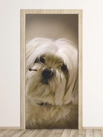 White dog door wallpaper FP 6204 - Graphic design featuring a long-haired white dog with striking details.