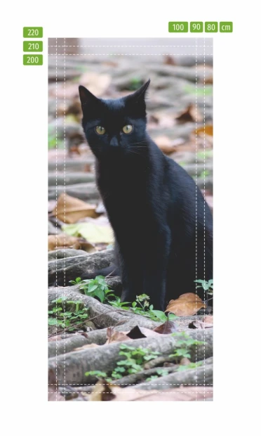 Black cat door mural FP 6208 - Graphic design featuring a cat on a backdrop of brown leaves and gray roots.