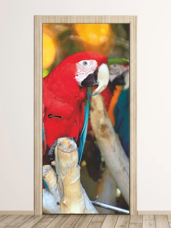 Red parrot door wallpaper FP 6212 - Graphic design featuring a red parrot with blue feathers on a branch.