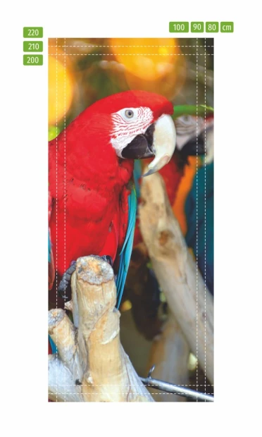 Red parrot door wallpaper FP 6212 - Graphic design featuring a parrot in vibrant colors against a green background.