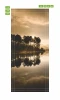 Wallpaper for doors featuring trees in sunlight, FP 6223 - Graphic design showcasing trees illuminated by sunlight.