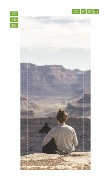 Canyon door mural FP 6206 - Graphic design featuring a seated figure with a dog against a canyon and mountain backdrop.