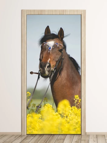 Door wallpaper featuring a brown horse with decorative headpieces in a meadow design.