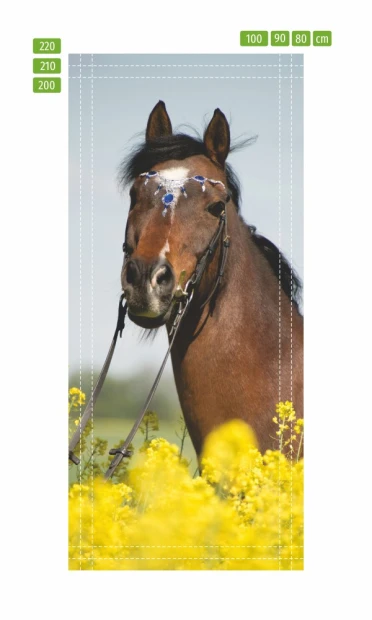 Door wallpaper featuring a horse grazing in a meadow FP 6209 - Graphic design with a horse among yellow flowers.
