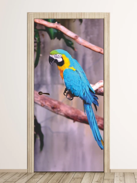 Blue parrot door wallpaper FP 6202 - Modern interior design with gray-toned walls.