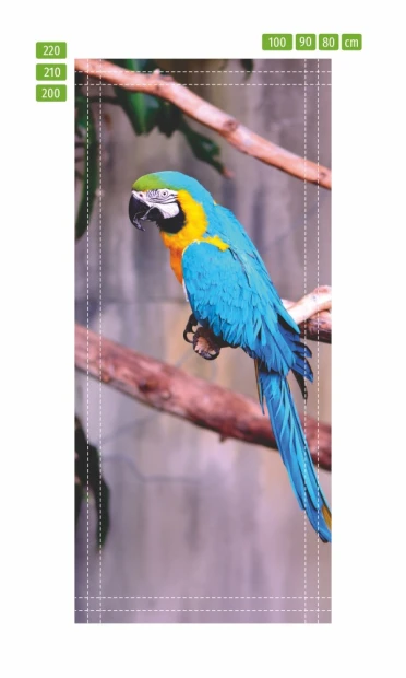 Blue parrot door wallpaper FP 6202 - Graphic design featuring a parrot with blue feathers, yellow belly, and green accents.