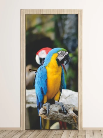 Parrot door wallpaper FP 6203 - Living room decor with light-colored walls and wooden flooring.