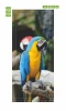Door wallpaper parrot FP 6203 - Graphic design. Parrot with blue and yellow feathers perched on a branch.