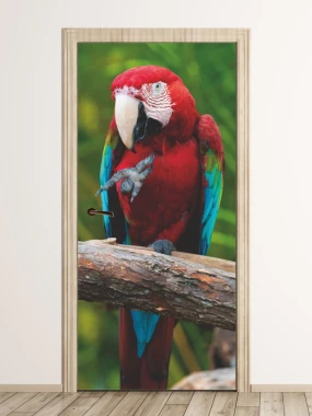 Door mural parrot FP 6211 - Graphic design. Parrot in vibrant colors with a green background.