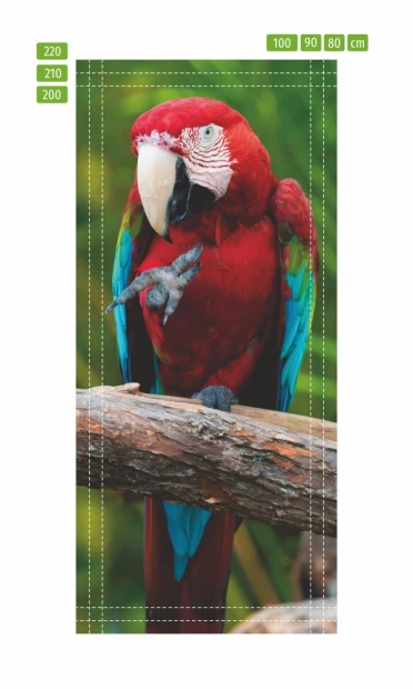 Door wallpaper FP 6211 - Graphic design featuring a parrot with red and blue feathers perched on a branch.