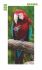 Door wallpaper FP 6211 - Graphic design featuring a parrot with red and blue feathers perched on a branch.