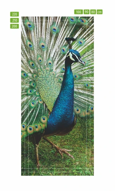 Door wallpaper FP 6214 - Graphic design featuring a peacock with fanned feathers in shades of green and blue.