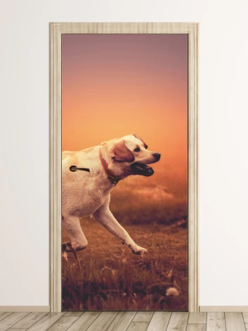 Door wallpaper featuring a running dog on a meadow, with a sunset and grass background. Design code: FP 6196.