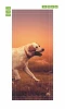 Door mural of a running dog in a meadow, featuring warm tones of grass and sky. Design code: FP 6196.