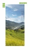 Rice field door mural FP 6235 - Graphic design featuring green rice fields and mountains under a cloudy sky.