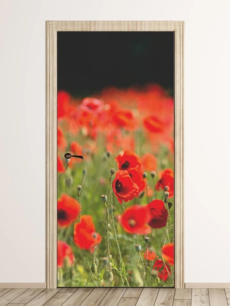 Poppy field door mural FP 6217 - Graphic design with red poppies on a green background and a subtle blur.