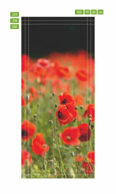 Poppy field door mural FP 6217 - Graphic design. Red poppies on a blurred green grass background.