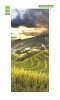 Vietnam FP 6234 door mural - Graphic design featuring green rice fields on hills at sunset.