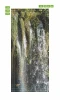 Waterfall door mural FP 6238 - Graphic design. Water cascades from high cliffs, surrounded by lush vegetation.