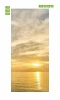 Sunset over the sea door mural FP 6198 - Graphic design featuring the ocean in shades of gold.