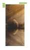 Fantasy elephant door mural FP 6248 - A graphic design of an elephant by water in a forest, surrounded by mist and light.