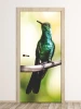 Hummingbird door wallpaper FP 6242 - Graphic design featuring a hummingbird on a branch with green feathers and a blurred background.