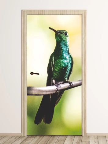 Hummingbird door wallpaper FP 6242 - Graphic design featuring a hummingbird on a branch with green feathers and a blurred background.