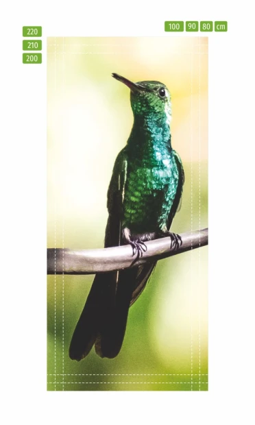 Hummingbird door mural FP 6242 - Graphic design featuring a hummingbird on a branch with green feathers on a blurred background.