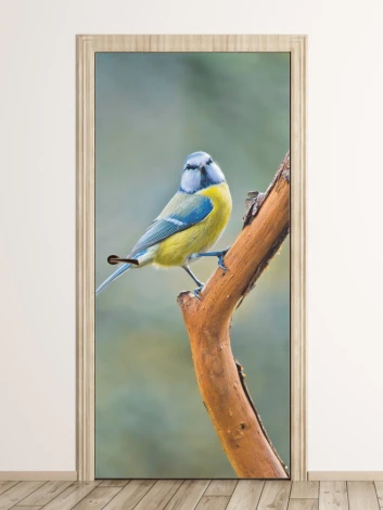Blue-yellow bird door mural FP 6259 - Graphic design featuring a bird on a branch in shades of blue and yellow.