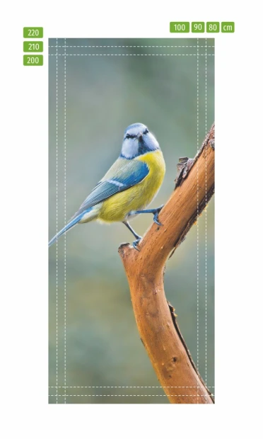 Blue-yellow bird door mural FP 6259 - Graphic design featuring a bird on a branch in blue and yellow colors.