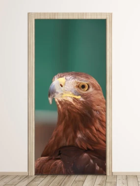 Eagle door wallpaper FP 6243 - Graphic design featuring a brown-feathered eagle with a yellow beak.